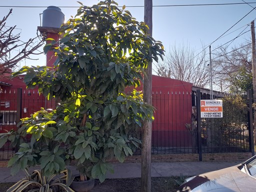 Pirovano 1000