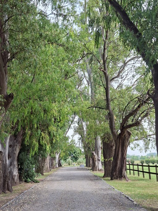 Ruta 4 Km 3,5 Localidad de Cardales Campana 0