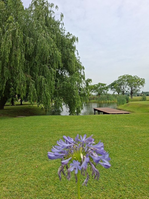 San Martin 014- 02 Caedales 0