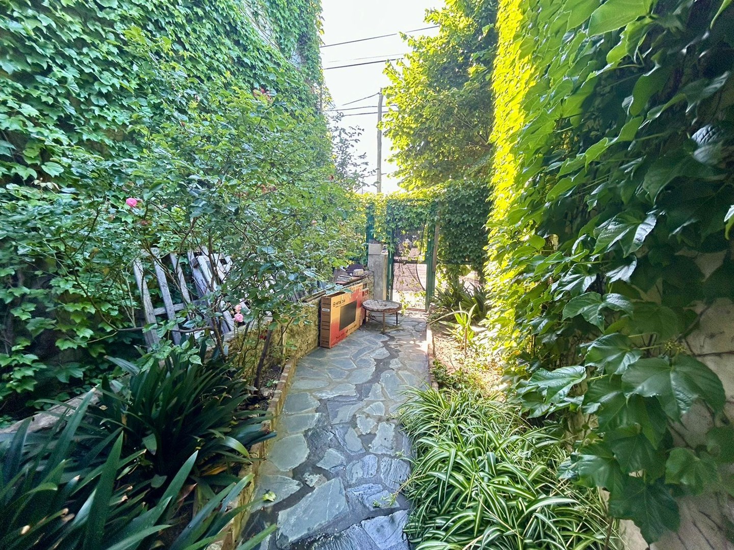 Salta 4000