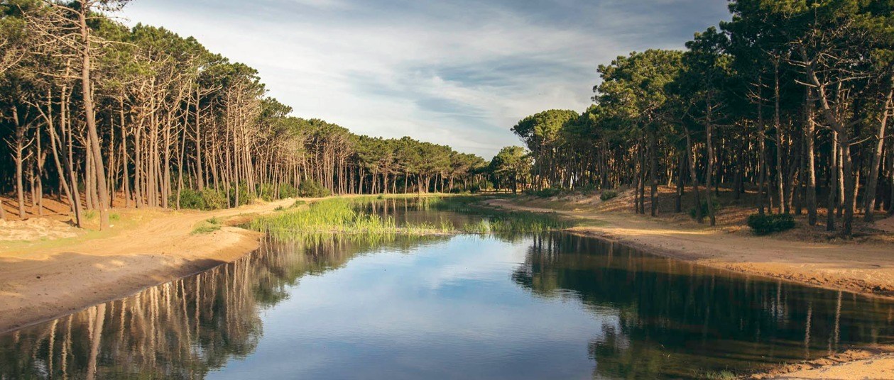 Villa Robles- Pinamar