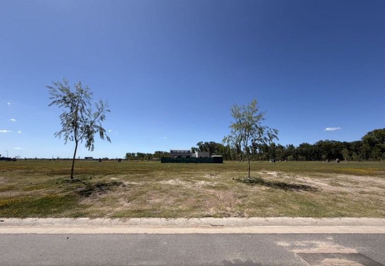 Nativas, Puertos del Lago