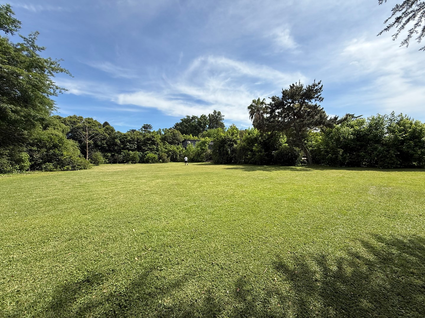 SARAVI Y LA GARZA 3000