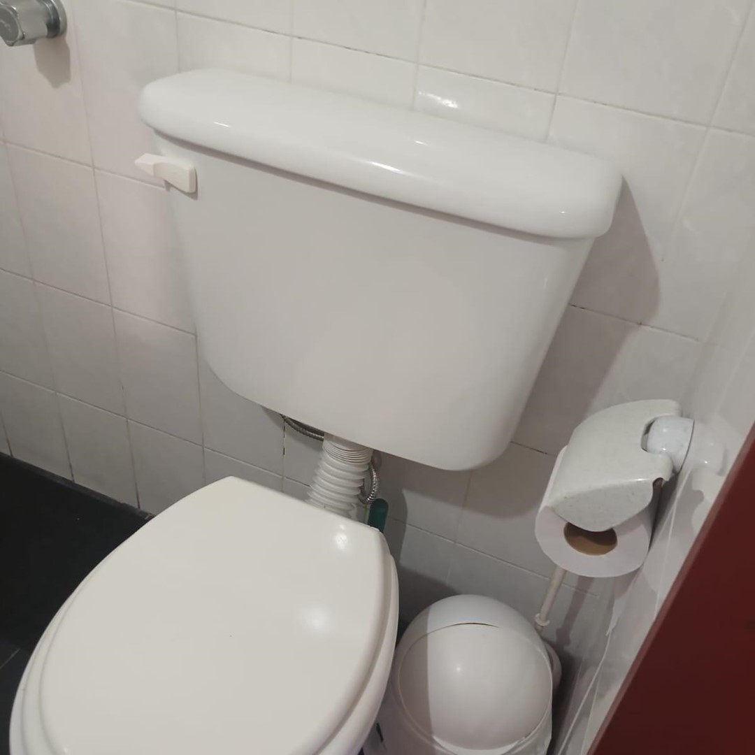 1960035168.jpg