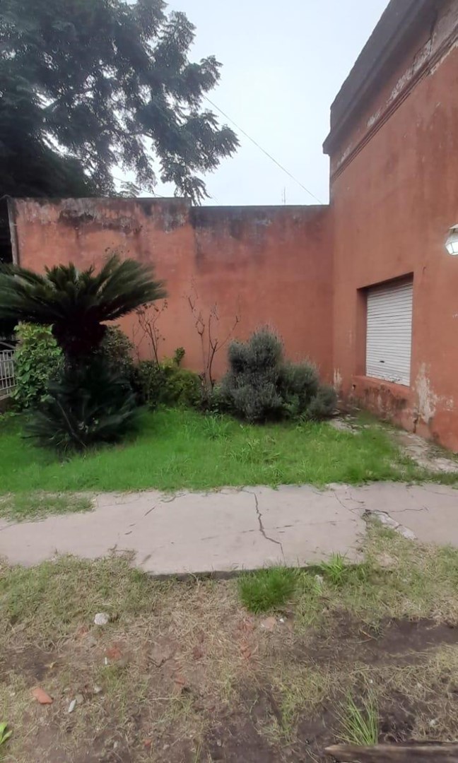 1910067266.jpg
