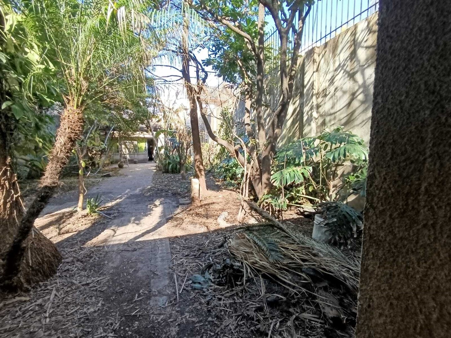 VENTA LOTE 430m² | FOT 3. SALTA N° 2043, LANÚS ESTE. Lanús Este