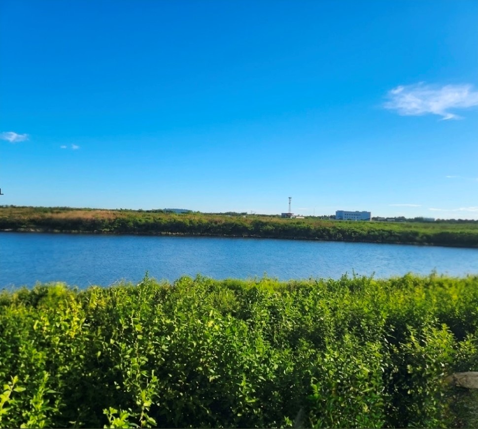 Lote en Venta en Gaviotas, Nordelta 100