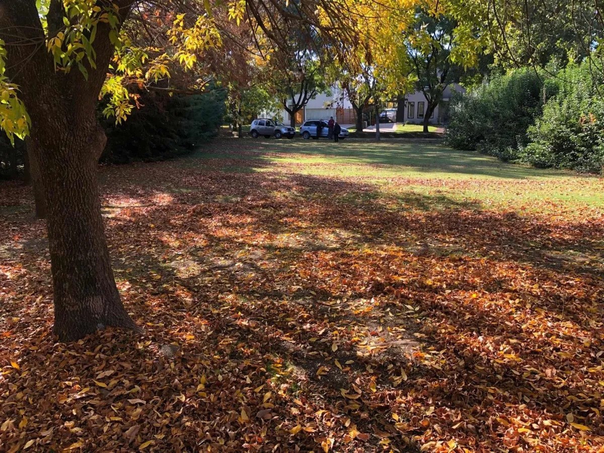 Unico lote disponible en el barrio