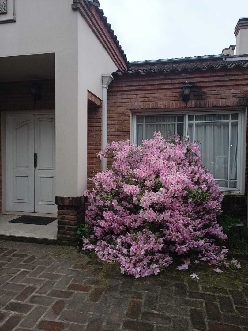 Alejandro Vitale 500, San Carlos Country Club, Ing. Pablo Nogués 500