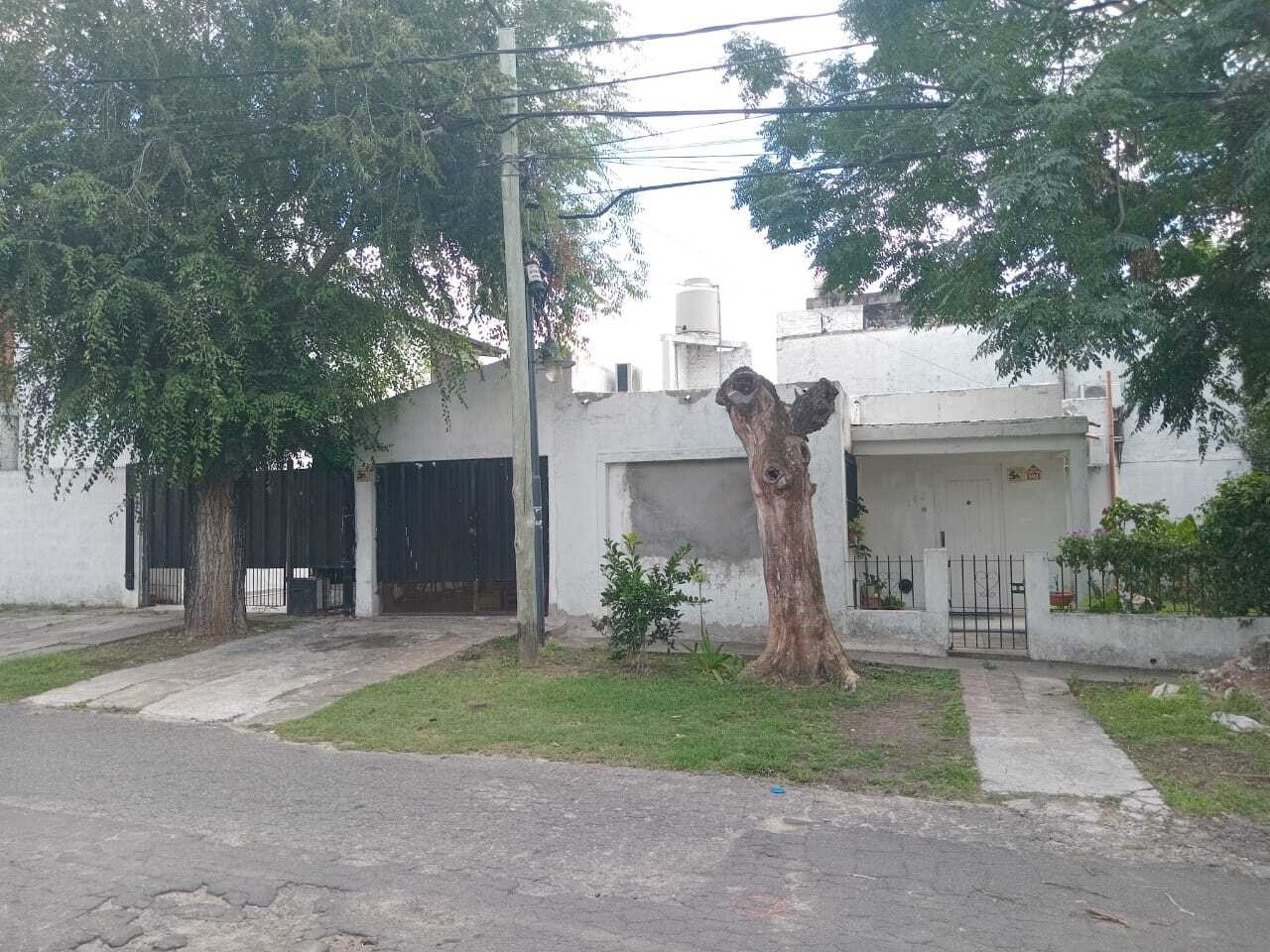 Calle 3 100