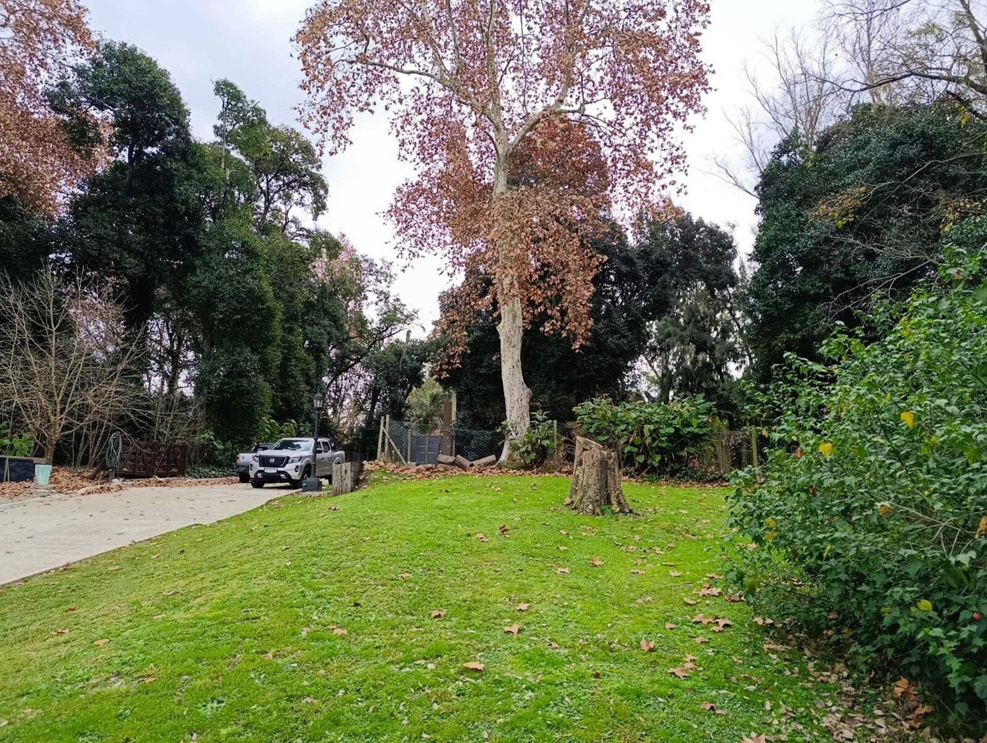 Velez Sarfield 300