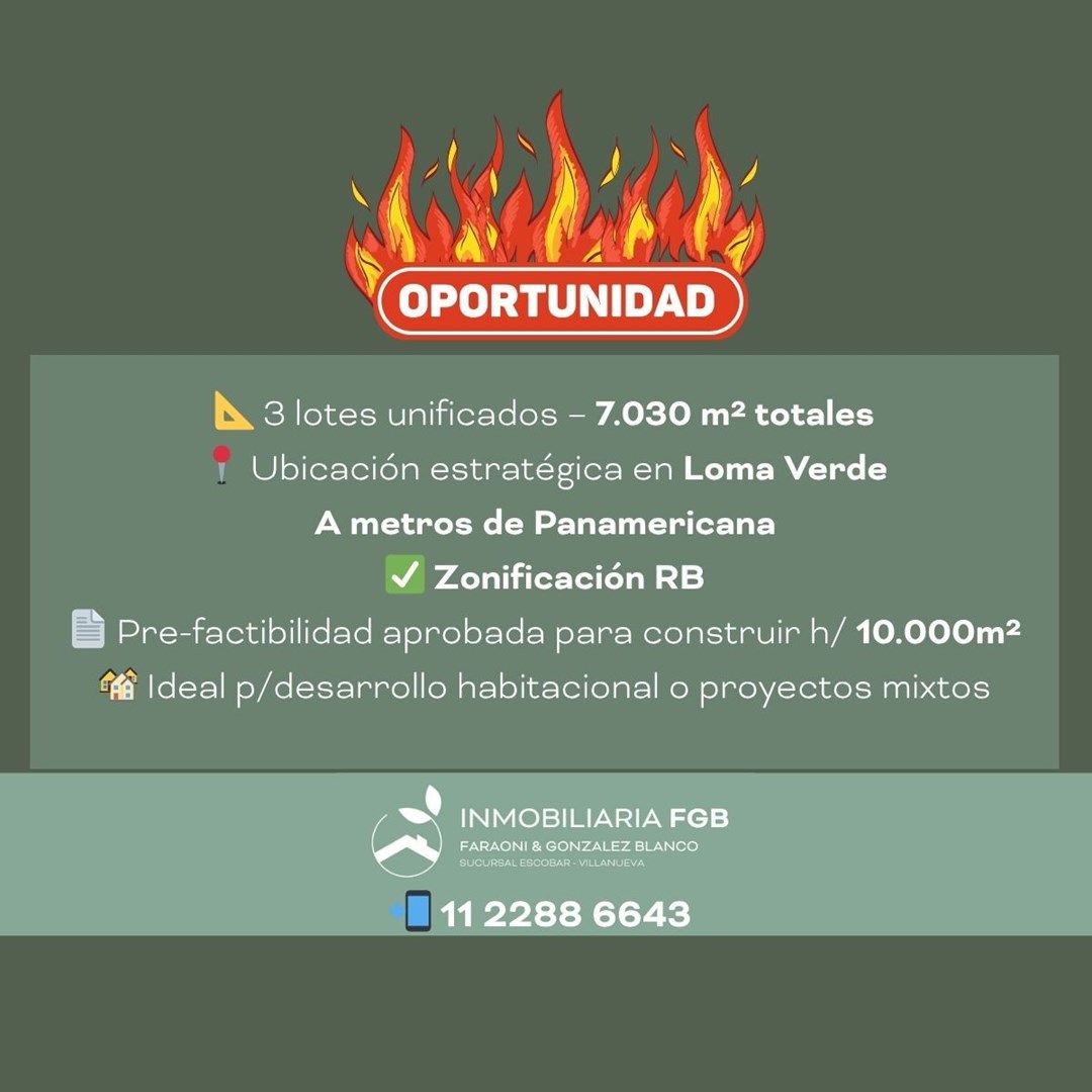 Las araucarias y los Fresnos 100