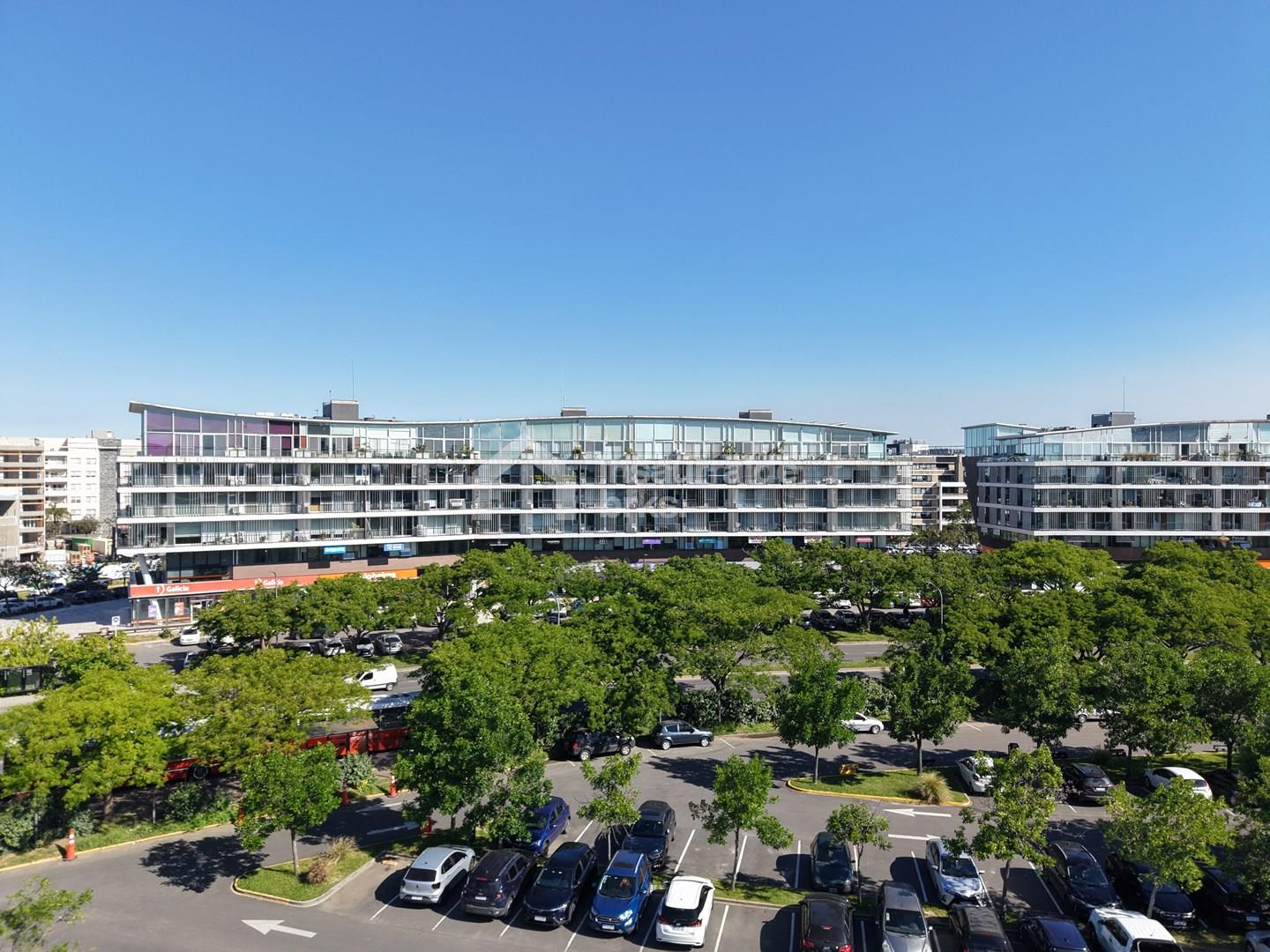 Vientos del Delta 100