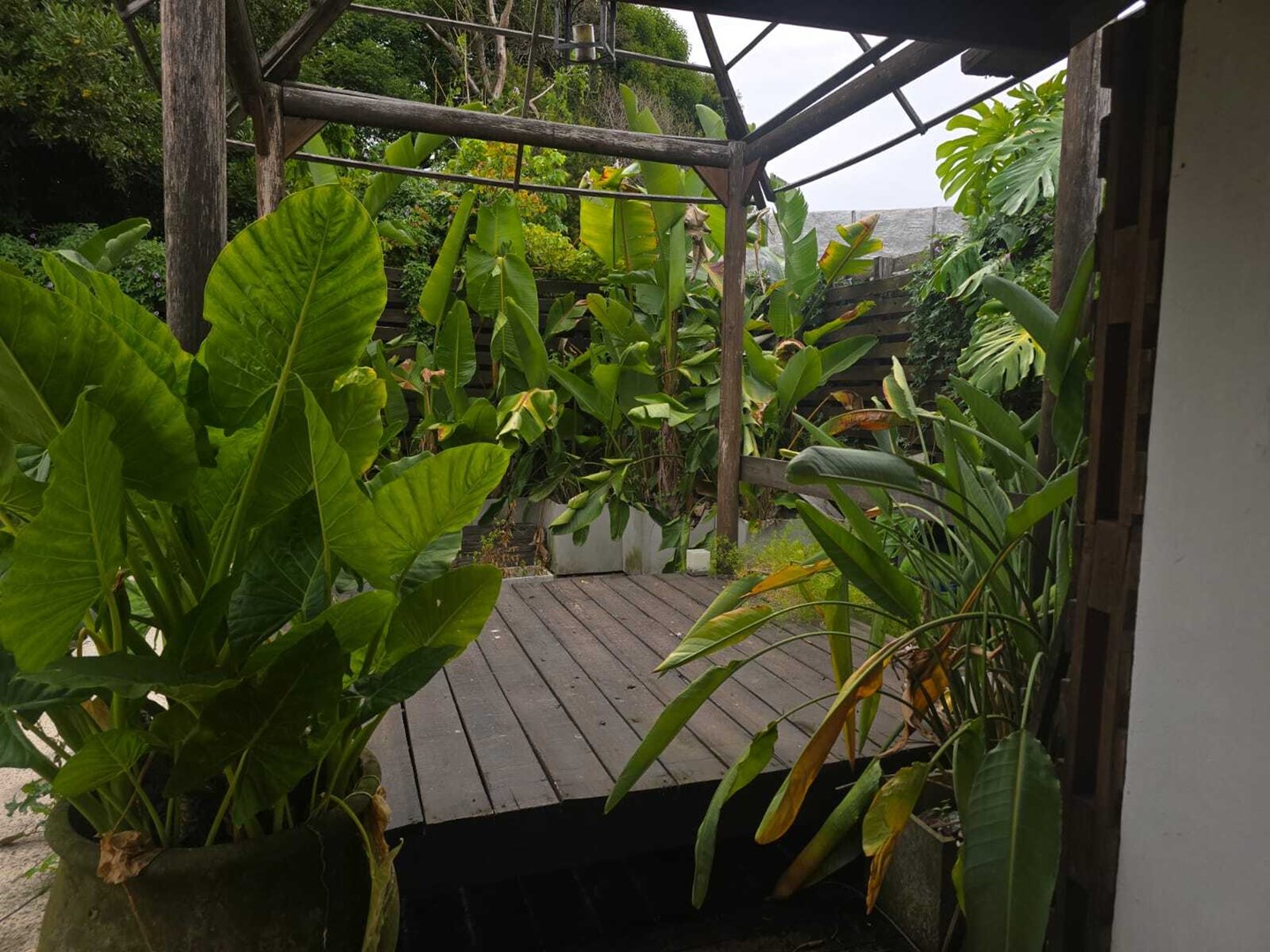 11 de Septiembre 300