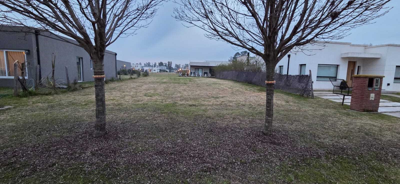 LOTE 166