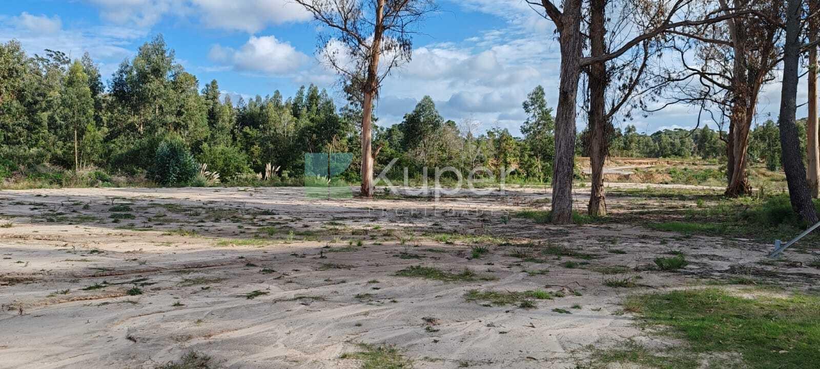 Rincon Del Indio