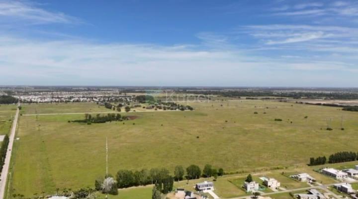 VENTA TERRENO EN CANING 111HA