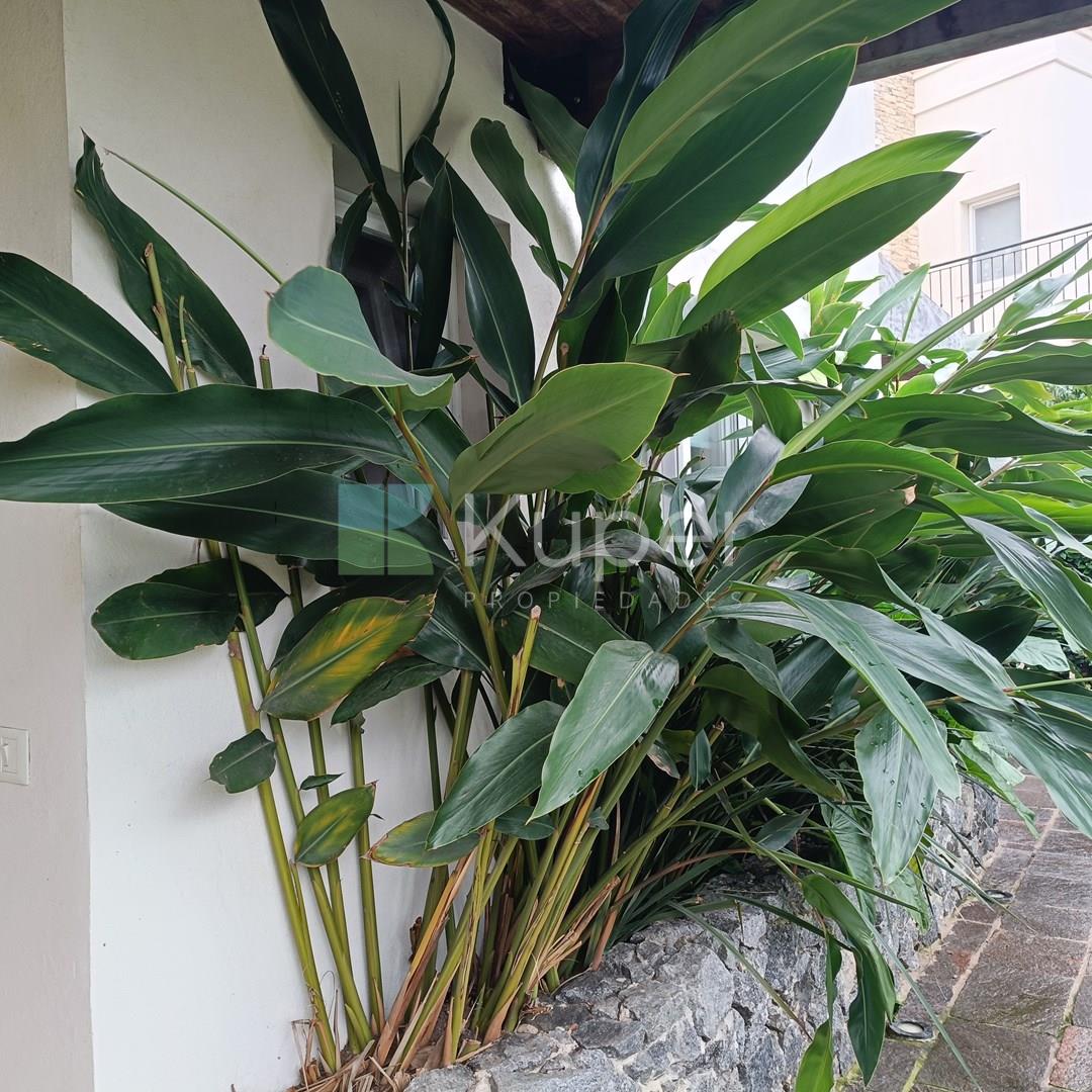 Casa en venta Ayres Plaza 0