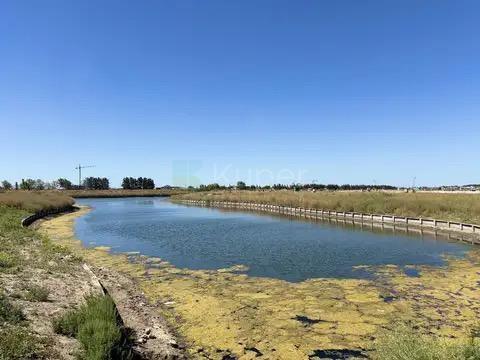 VENTA LOTE (OPCIÓN A VENDER 2 JUNTOS) EN SILVESTRE .