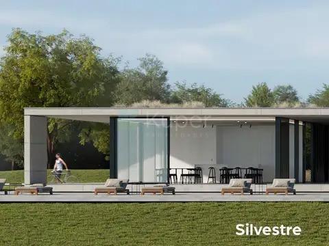 VENTA LOTE (OPCIÓN A VENDER 2 JUNTOS) EN SILVESTRE .