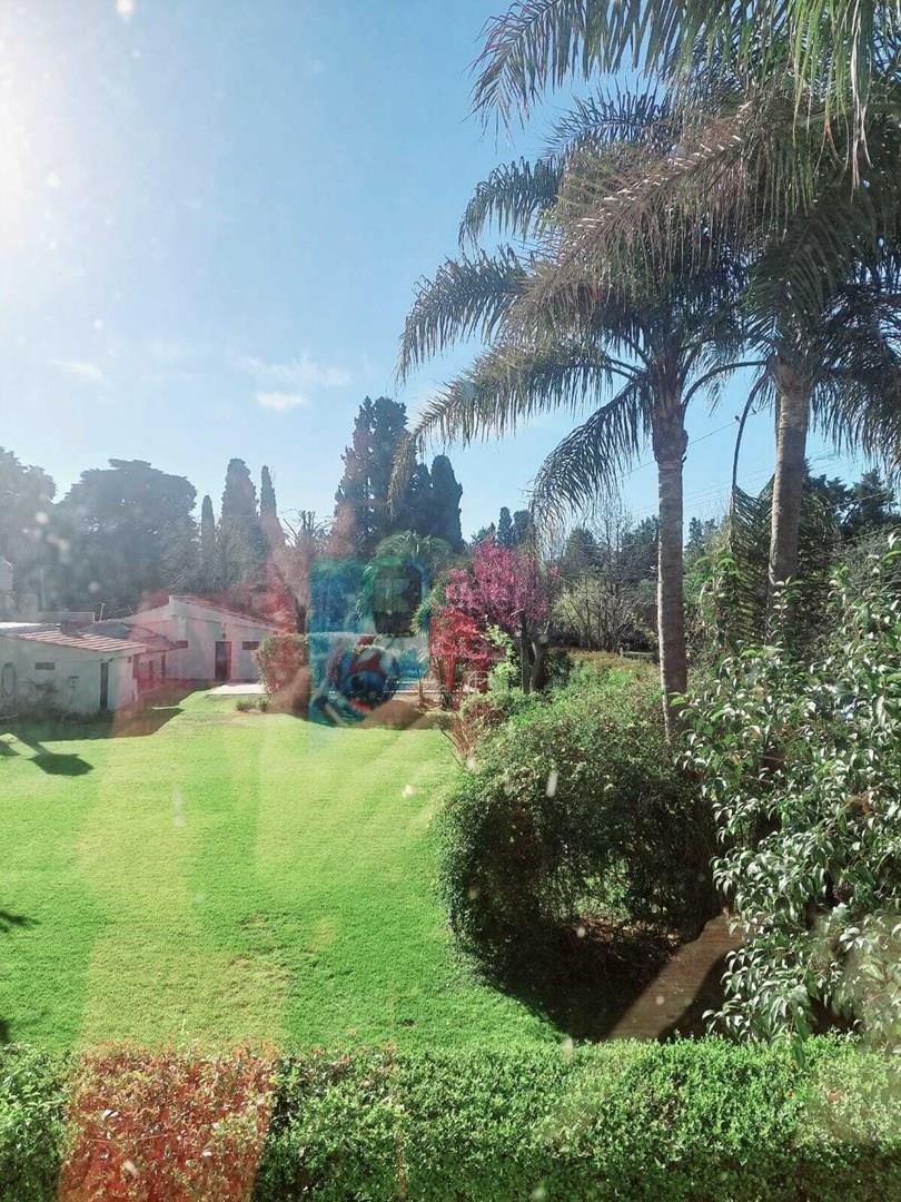 Vista de arriba