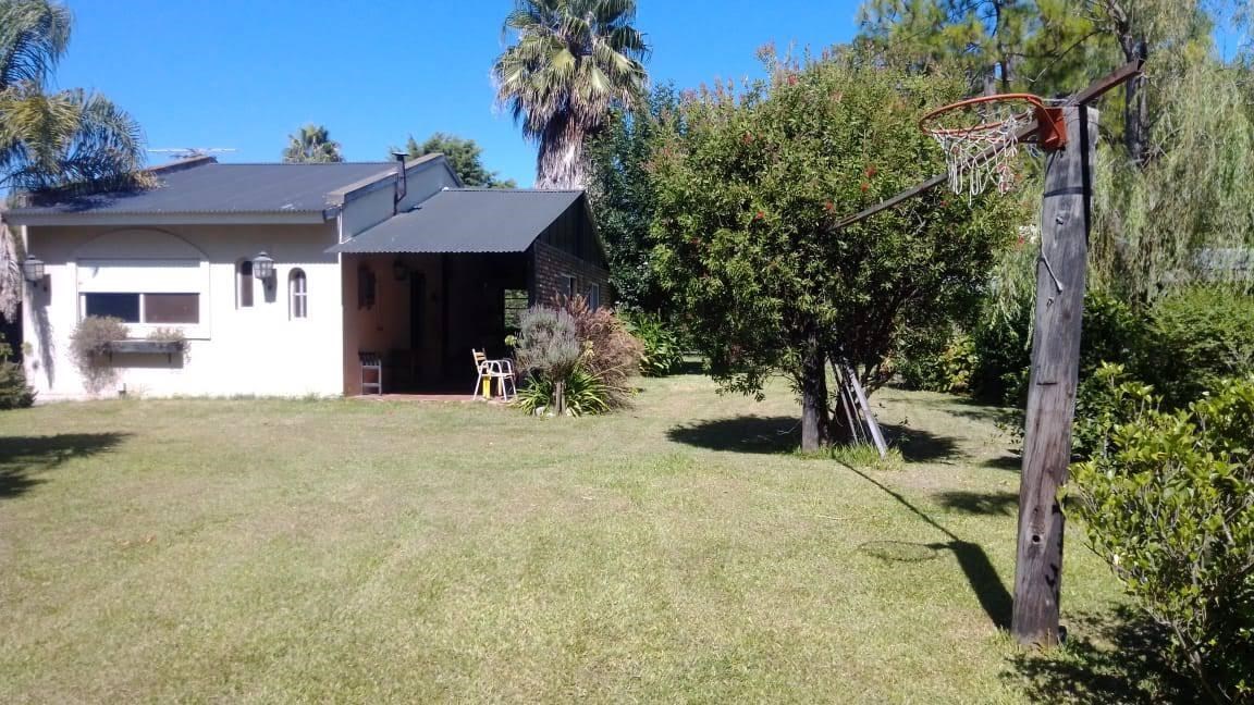 SAKURA, Antonio Machado 600