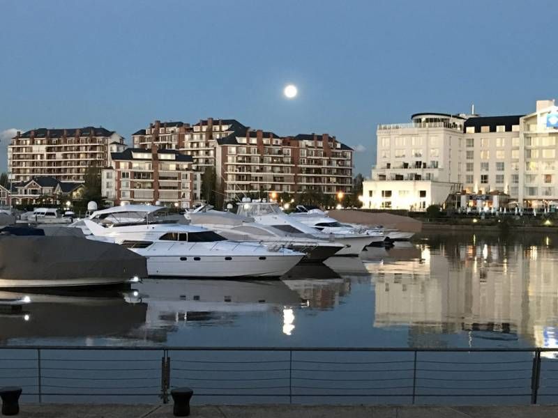 Terrazas de la Bahia 100