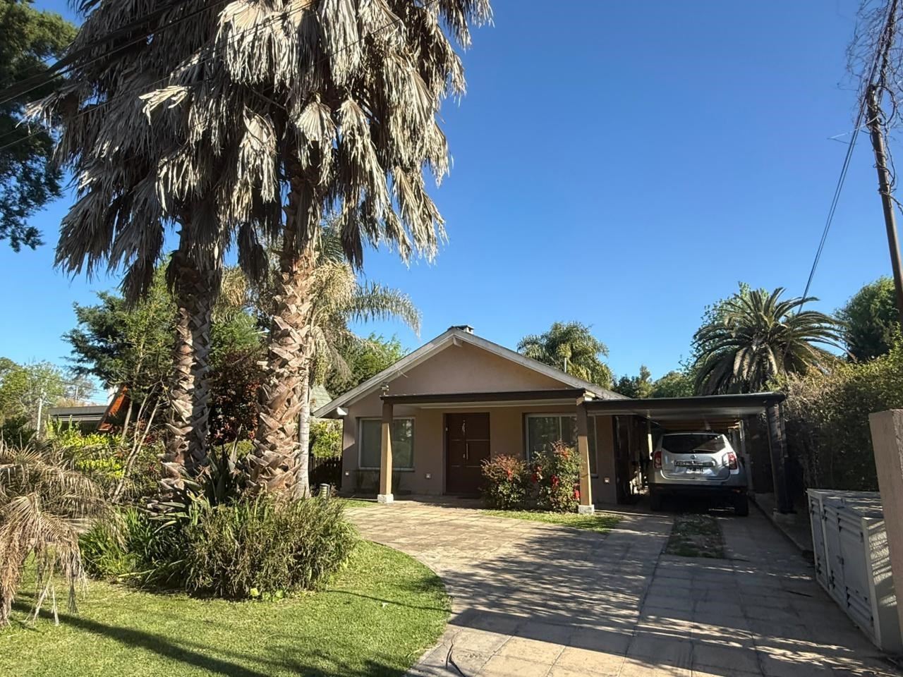 Lote 100