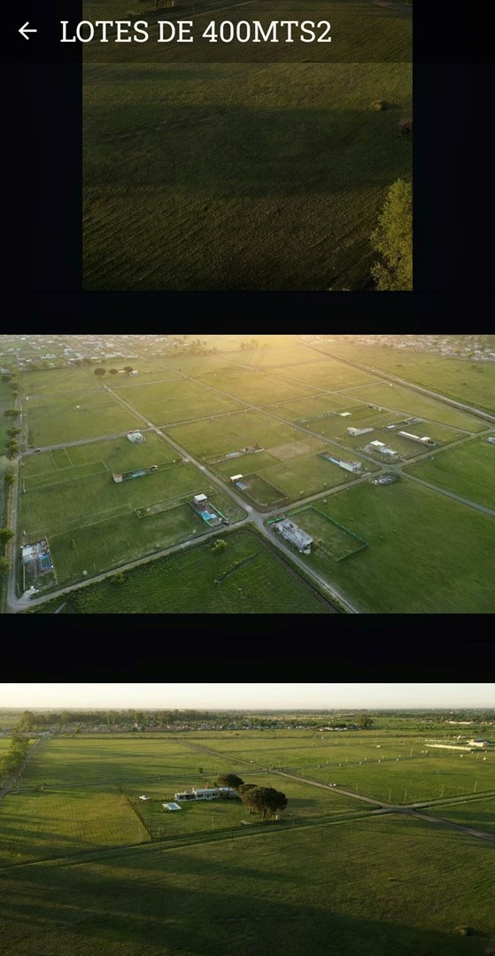 LA FAYETTE Y GAVILAN