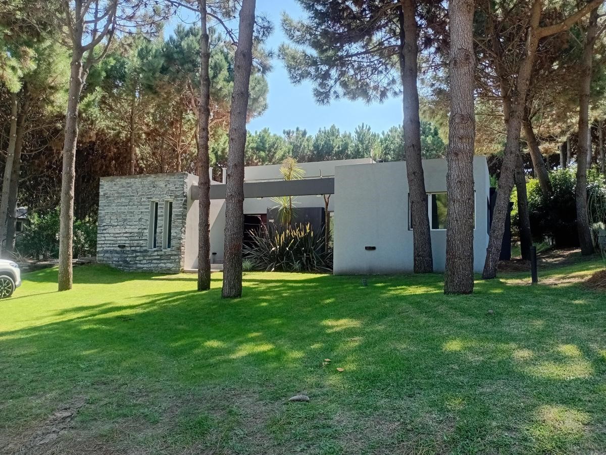 1977848811.jpg