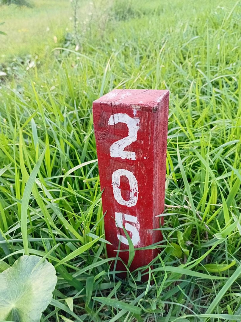 1986881064.jpg