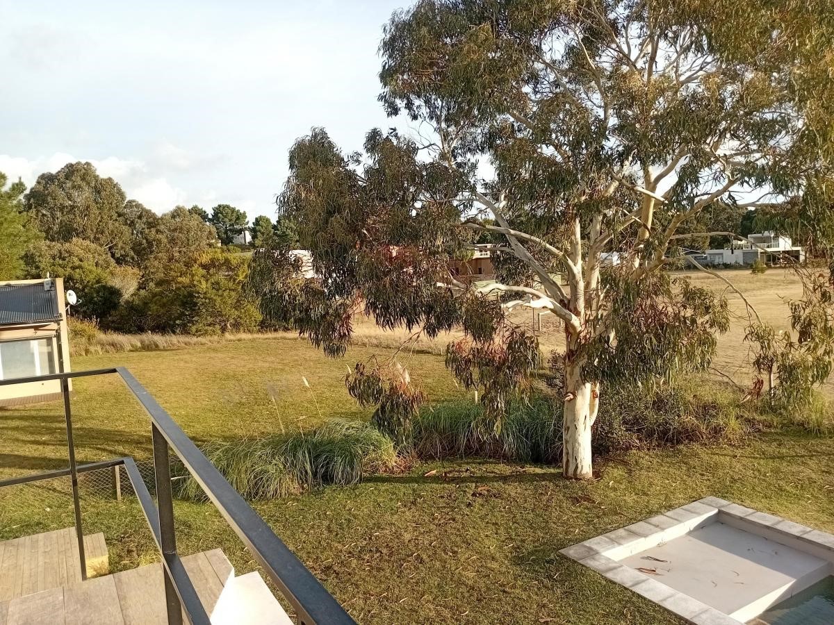 1985639763.jpg