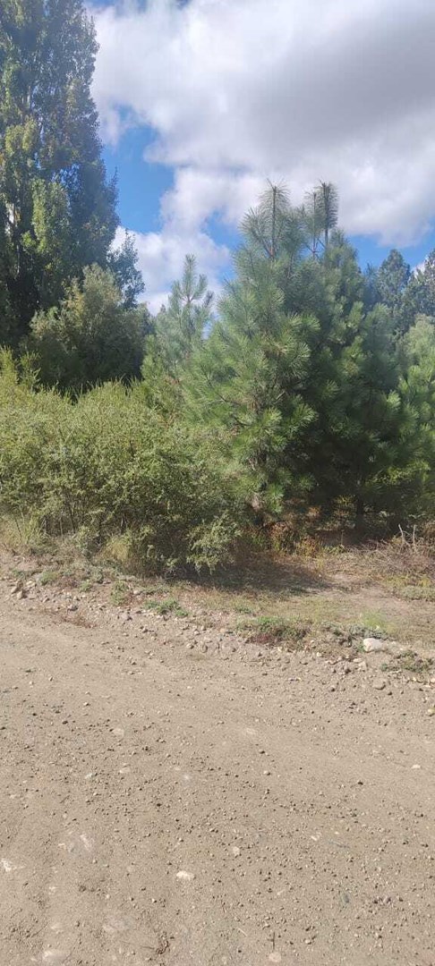 Ruta 40 km 2226 2200