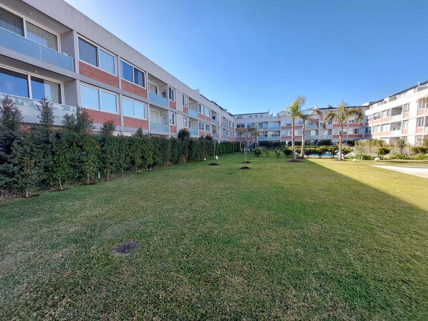 Olivares 200