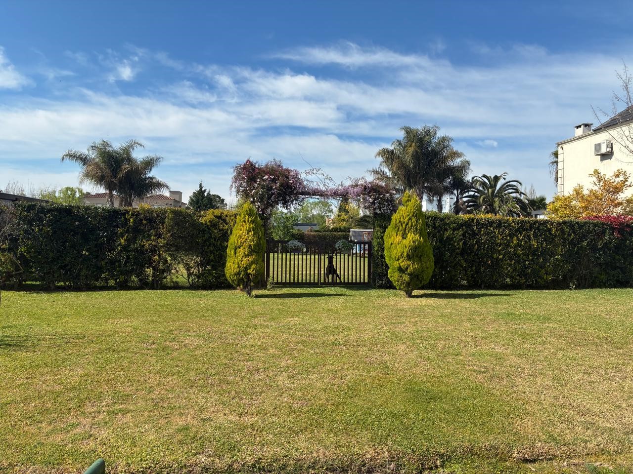 Campo Grande Club De Campo
