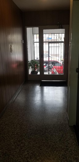 Imagen número 5372282