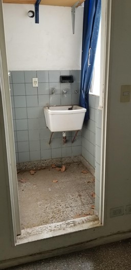 Imagen número 5372291