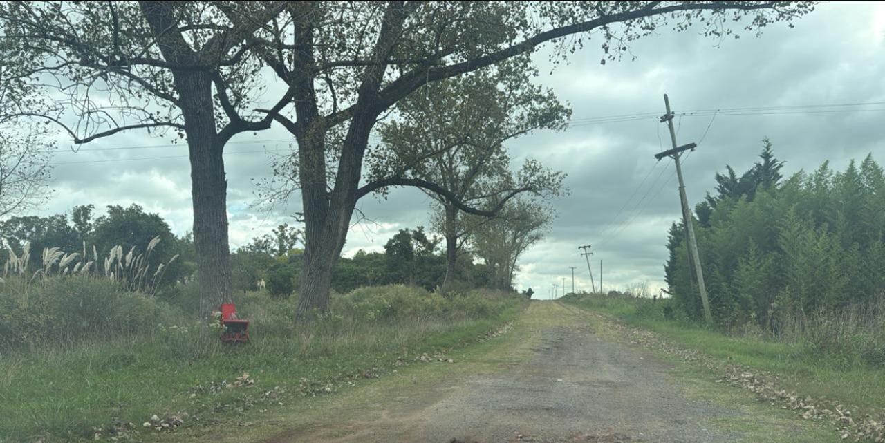 RUTA 41