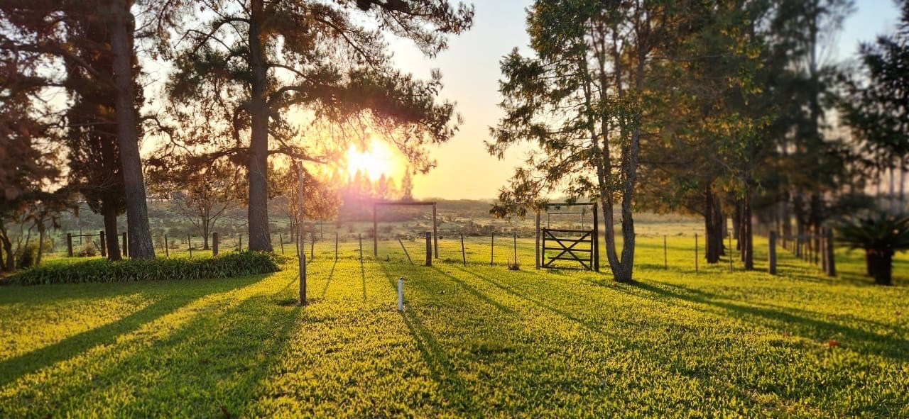 Ruta Provincial 42 0