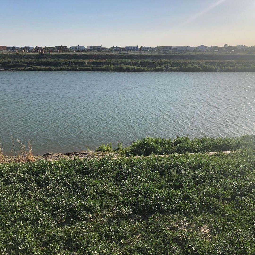 Terreno - Lote en Riberas — foto 2