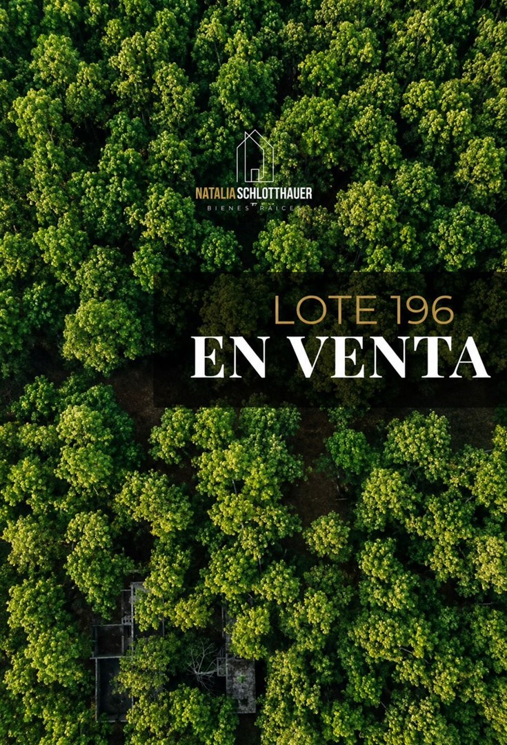 Lote 100