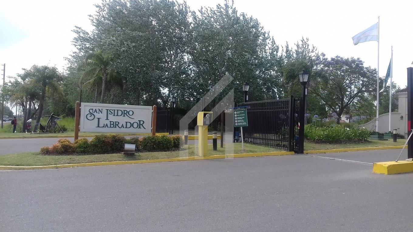 Italia 5043 San Isidro Labrador 5000