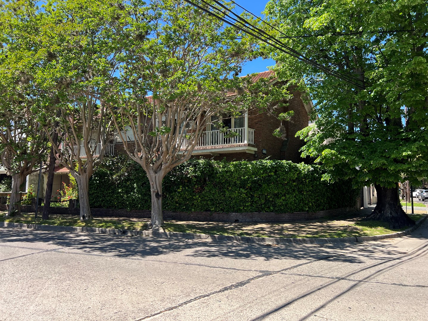 Formosa 0