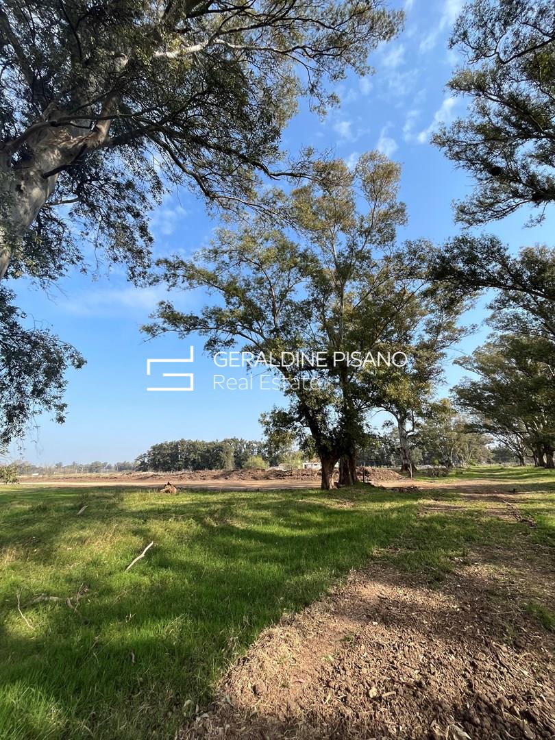 VENTA DE LOTES EN TOMÁS JOFRE OPORTUNIDAD DE INVERSIÓN 0