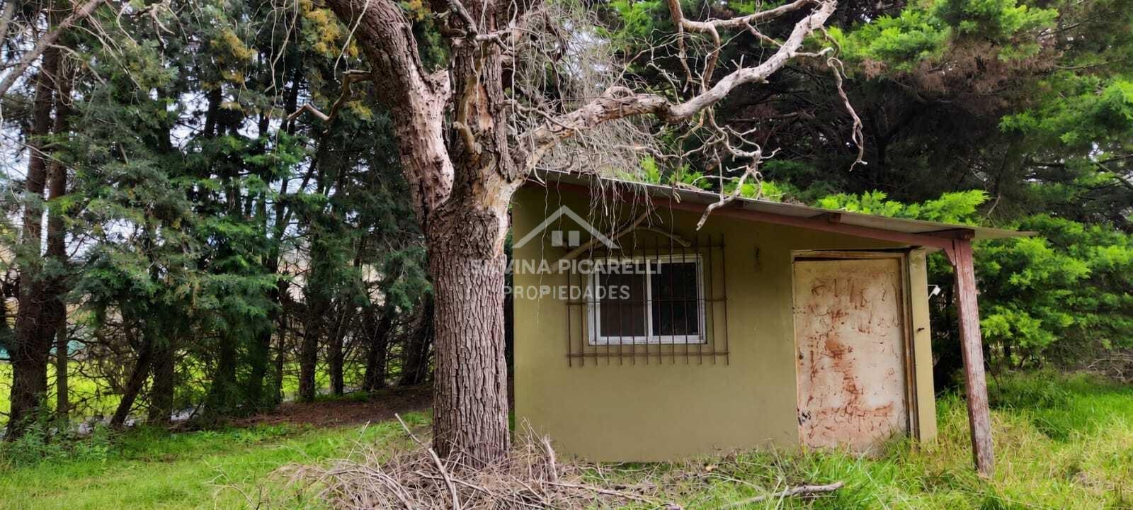 LOTE ARBOLADO CON CUARTO DE GUARDADO - JUANA DE IBARBOUROU