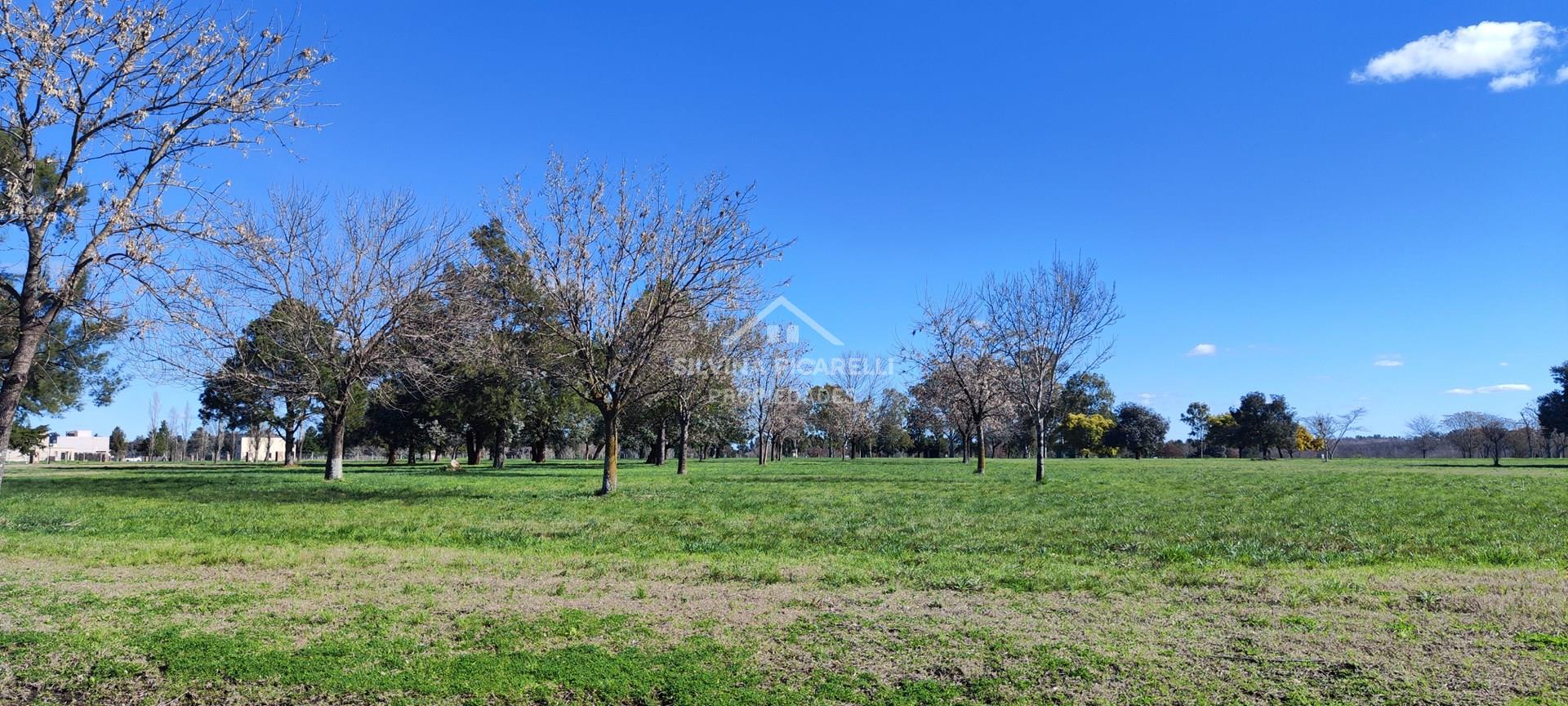LOTE BARRIO CERRADO MIRABOSQUES, LOS CARDALES