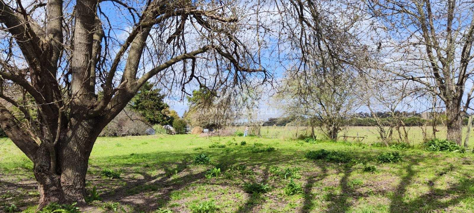 VENTA LOTE EN BARRIO LA VERDAD, RUTA 39 KM 3,2 PAVON CALLE BELLA VISTA