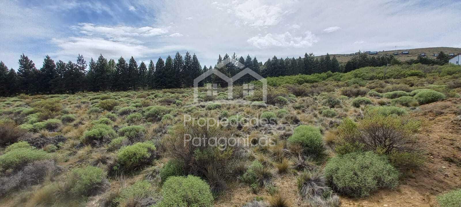 Primeros pobladores 500