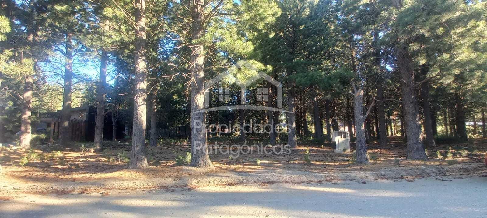 ruta 40 y circunvalación , San Carlos De Bariloche 100