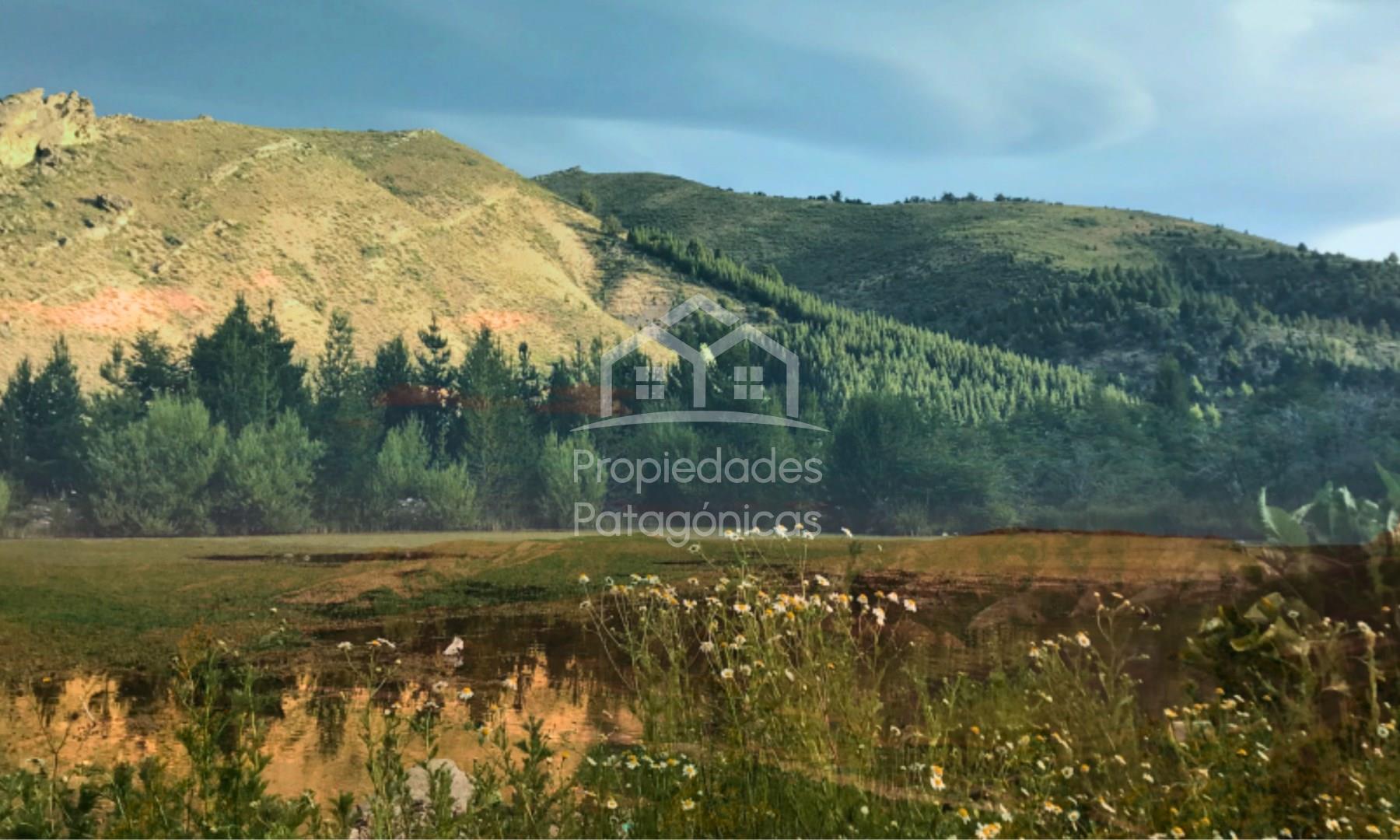 Valle del Ñirihuau 0